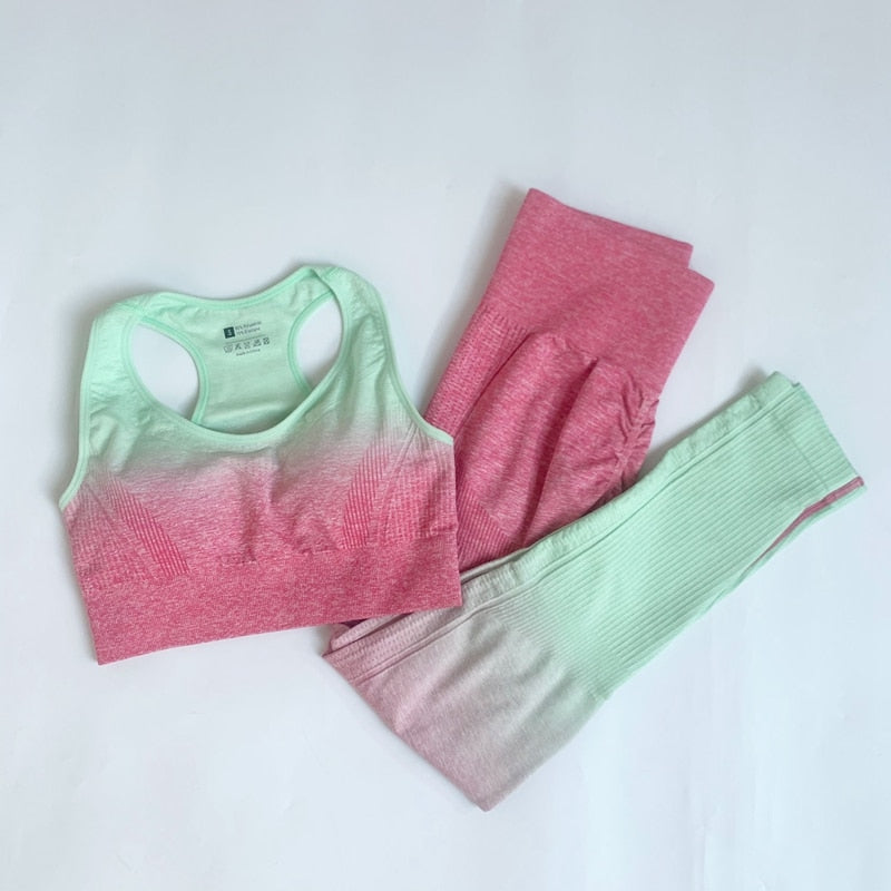 Conjunto Esportivo Sem Costuras | Look Feminino